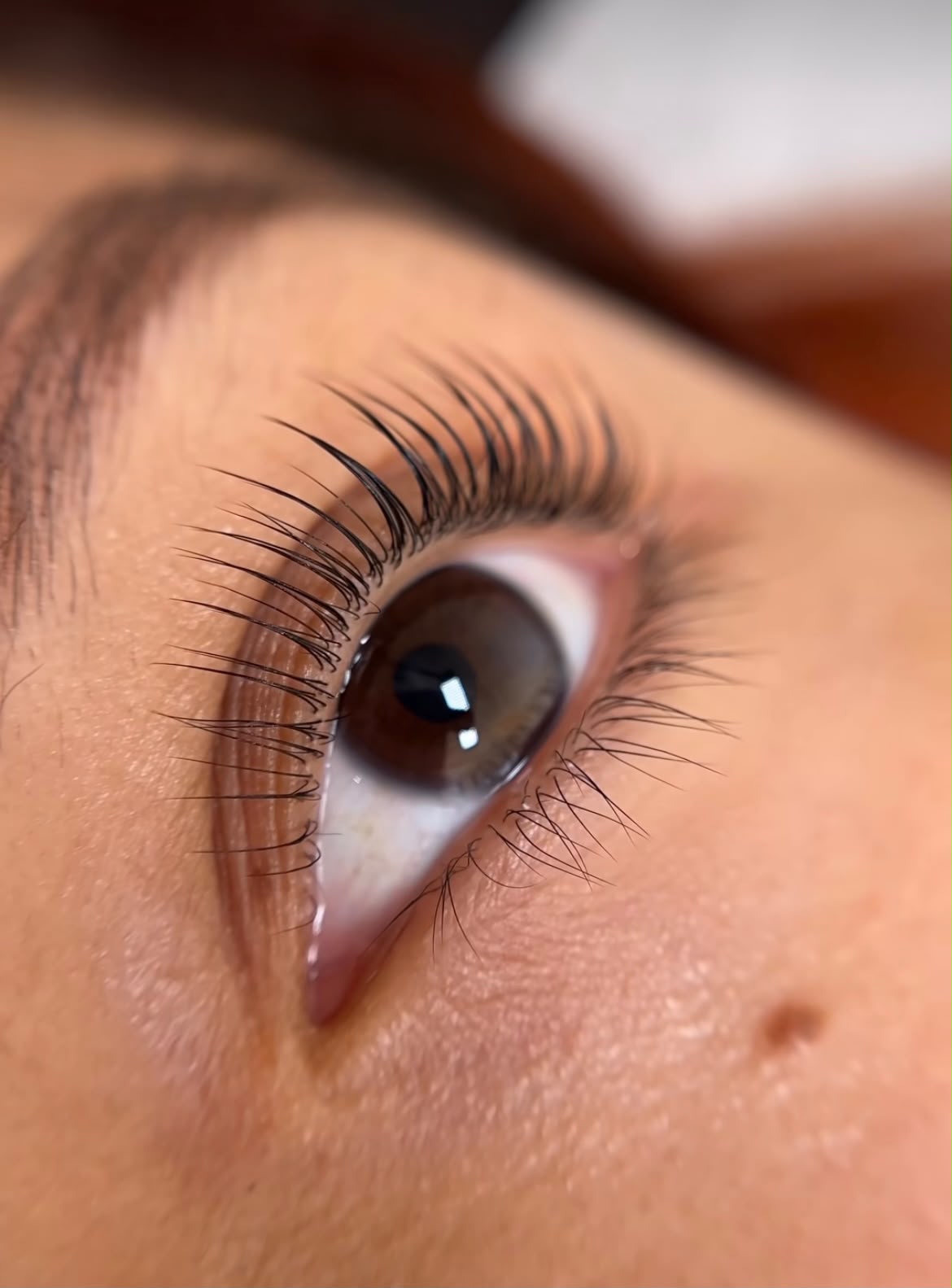 Ergebnis Wimpernverlängerung bei GOLDSKIN
